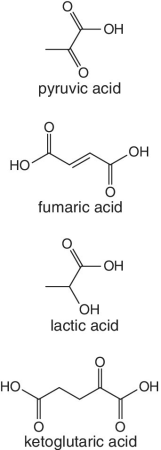 Structural formula of pyruvic acid, fumaric acid, lactic acid, and ketoglutaric acid.