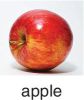 Photo of an apple.