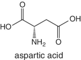 Structural formula of aspartic acid.