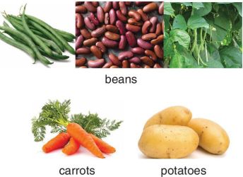 Photo of beans, carrots, and potatoes.