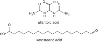 Skeletal formulas of allantoic acid and ketostearic acid.