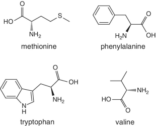 Skeletal formula of methionine, phenylalanine, tryptophan, and valine.