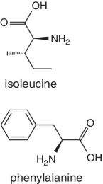 Skeletal formula of isoleucine and phenylalanine.