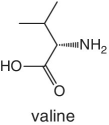 Skeletal formula of valine.