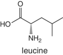 Skeletal formula of leucine.