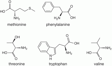 Skeletal formula of methionine, phenylalanine, threonine, tryptophan, and valine.