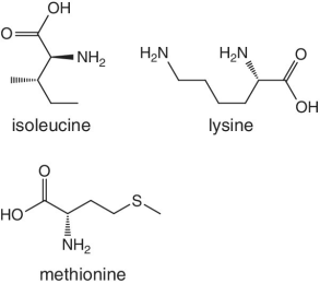 Skeletal formula of isoleucine, lysine,  and methionine.