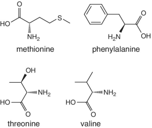 Skeletal formula of methionine, phenylalanine, threonine, and valine.