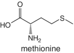 Skeletal formula of methionine.