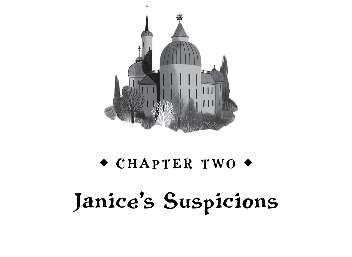   Chapter Two  Janice’s Suspicions