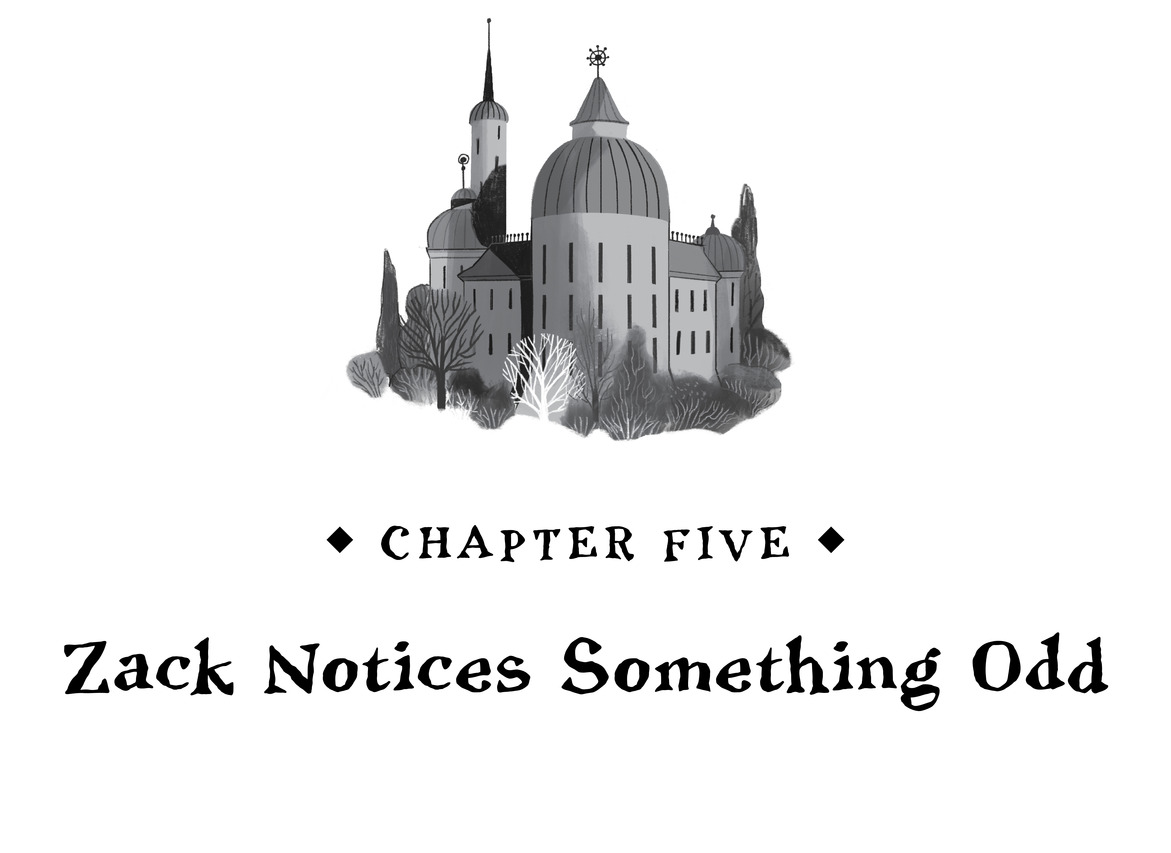   Chapter Five  Zack Notices Something Odd