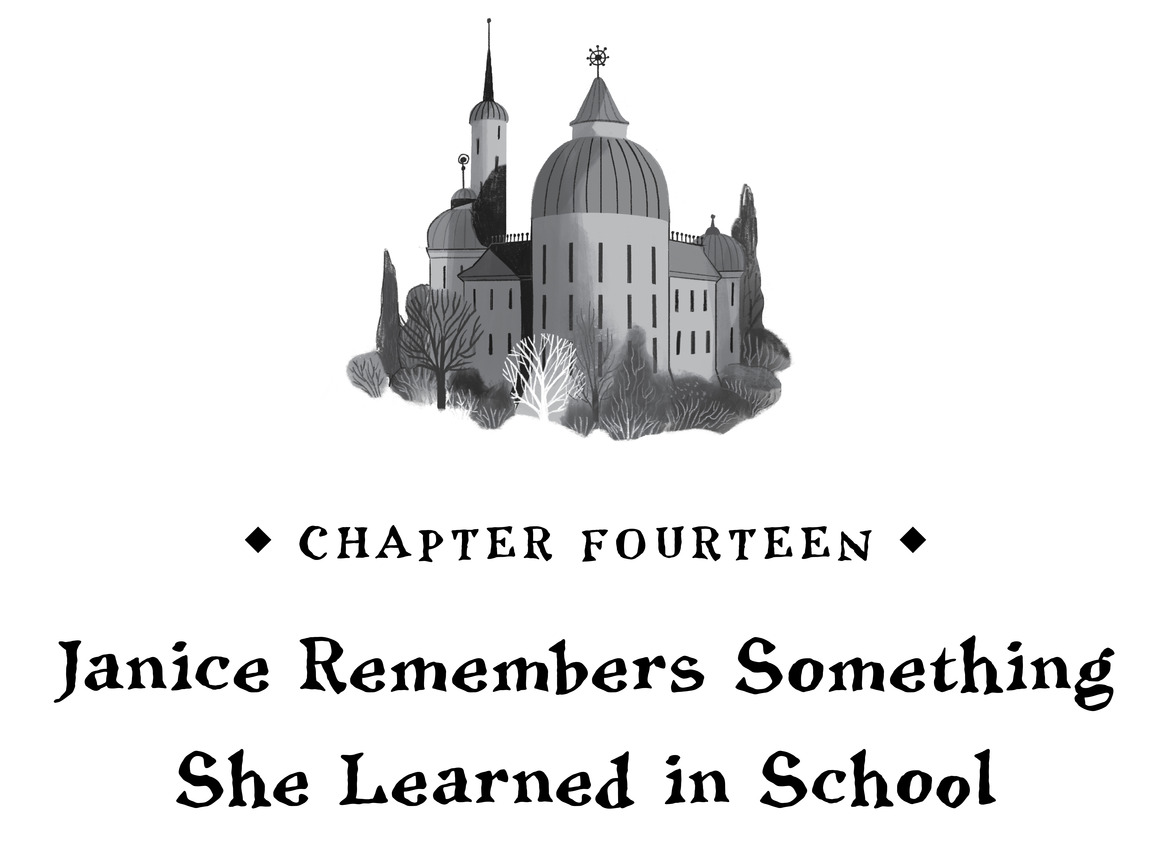   Chapter Fourteen  Janice Remembers Something She Learned in School