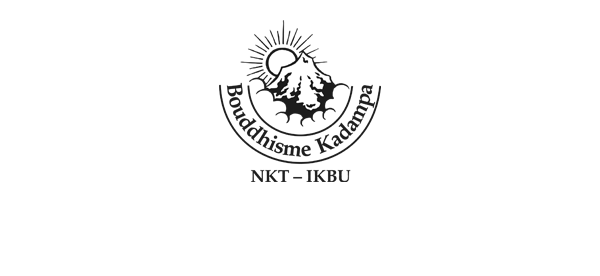 NKT-IKBU logo