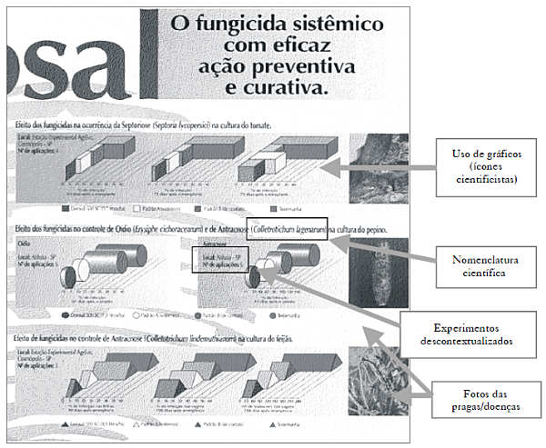 3ª página do folder