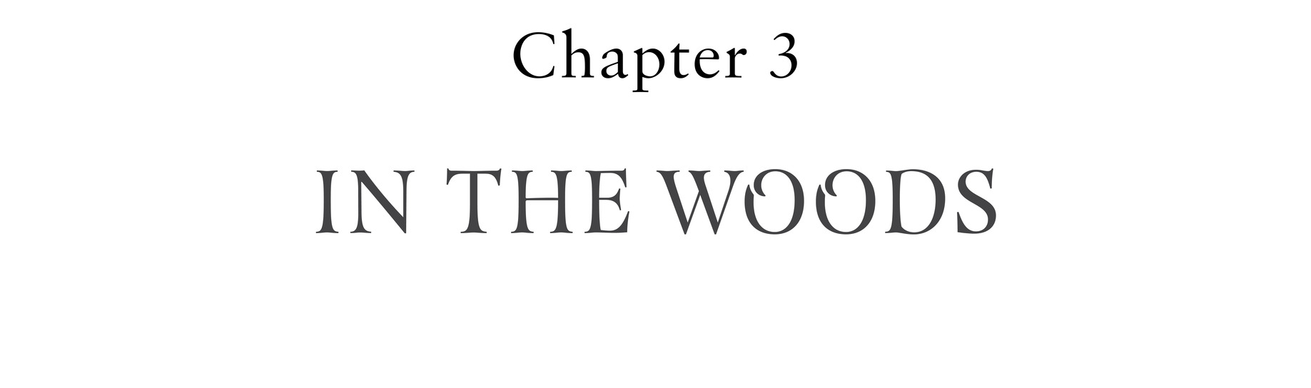 Chapter 3 In the WOOds