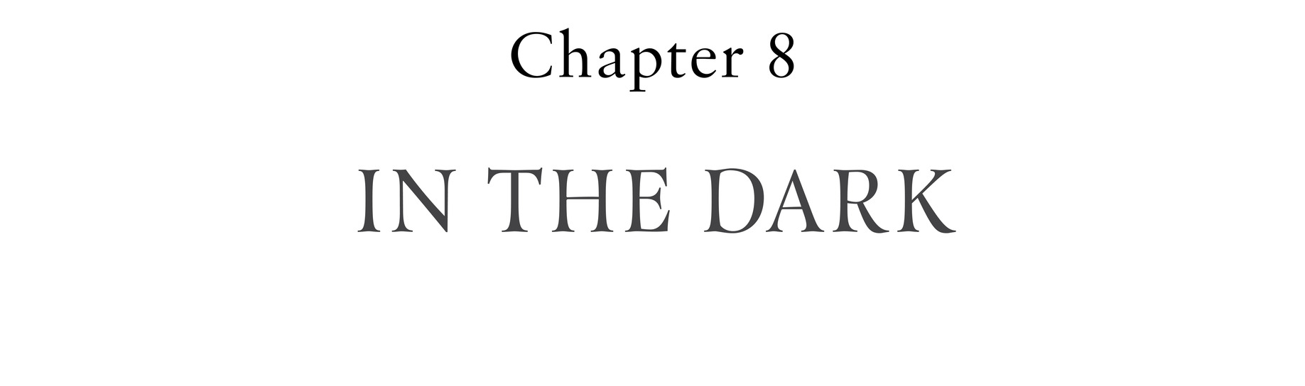 Chapter 8 In the Dark