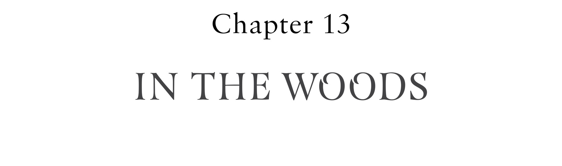 Chapter 13 In the WOOds