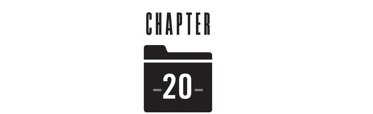 Chapter 20