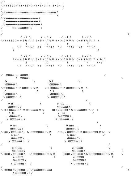 The PATH port of 10 PRINT, an actual computer program written in an intentionally perverse programming language.