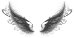 assassin_wings_150x77