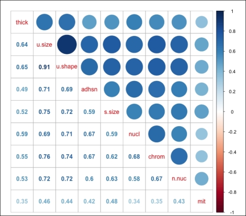 Data understanding and preparation