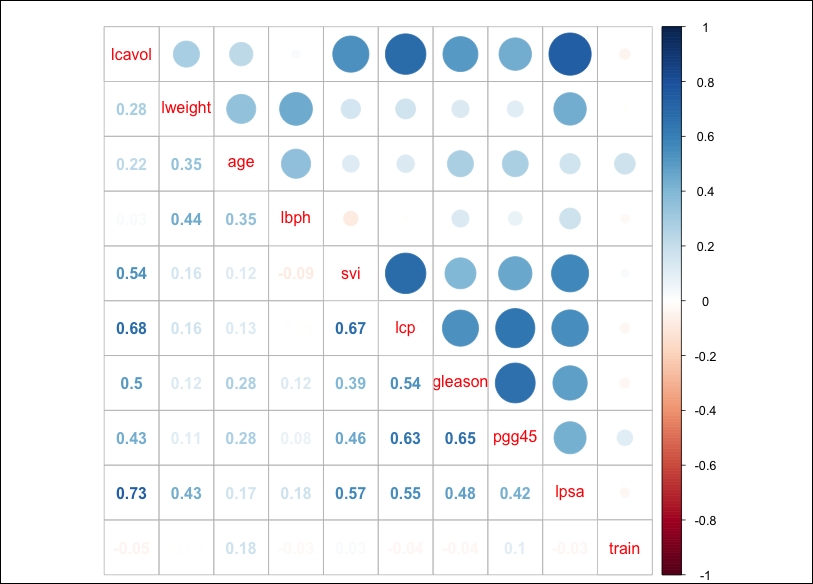 Data understanding and preparation