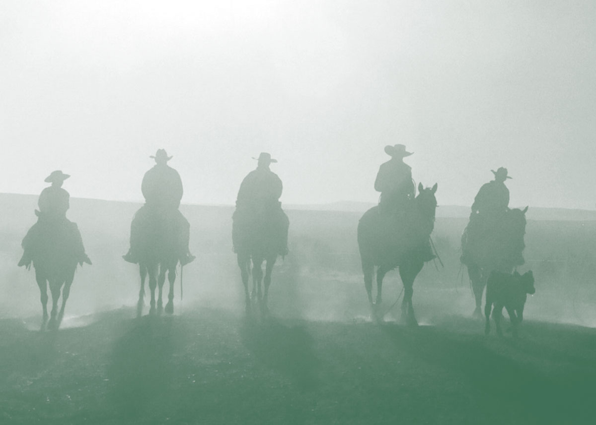 Photo of cowboys on horses.