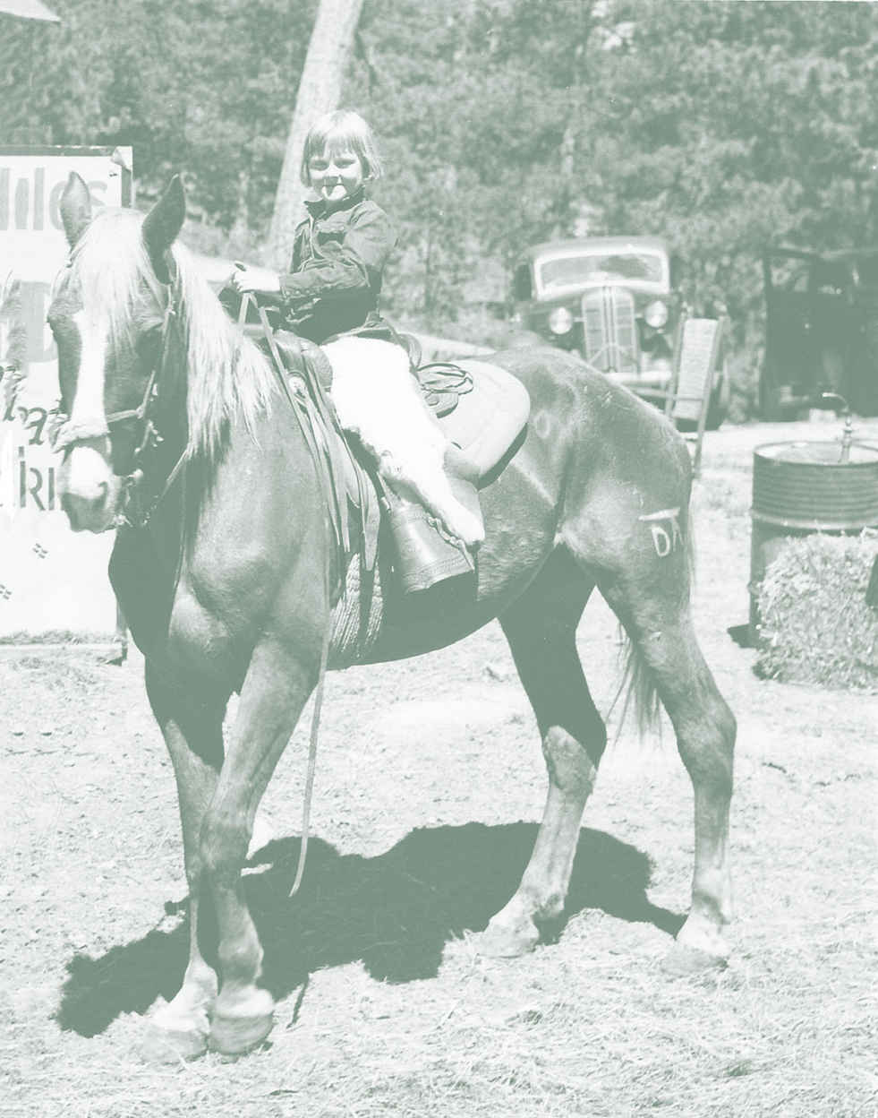 Photo of girl on horse.