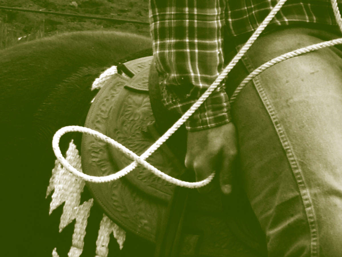 Photo of closeup of rider holding rope.