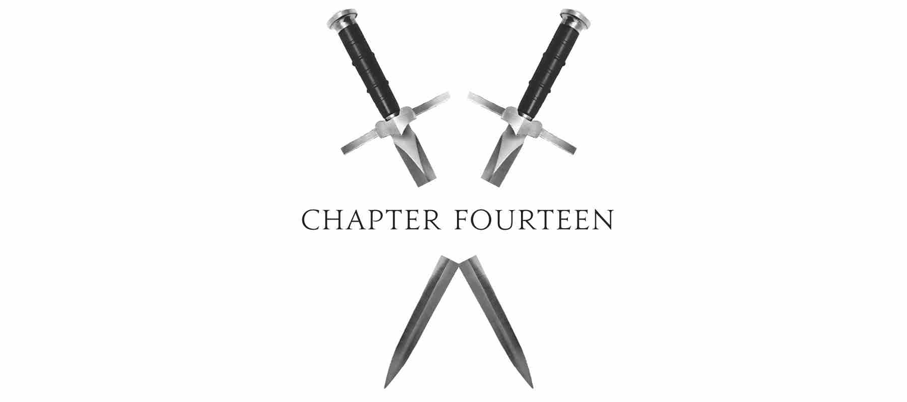 Chapter Fourteen