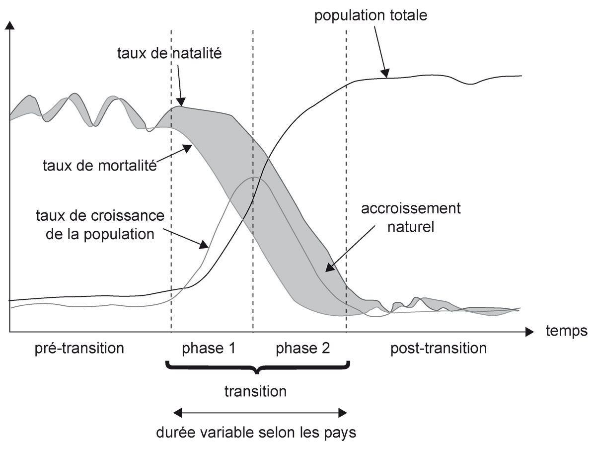  Le modèle de la transition démographique.