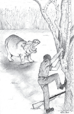 hippo and man climbing tree.tif