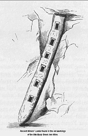 Ancient Miners’ Ladder