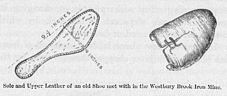 Sole and Upper Leather of an old Shoe