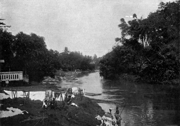 A glimpse of the river as it glides along between the bamboo groves of its margins.