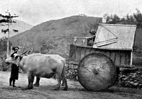 Carriers walking by the side of their lumbering, bullock-drawn pedati, which creaks along the sun-scorched roads.