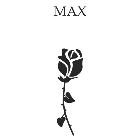 story break graphic of a rose, title max