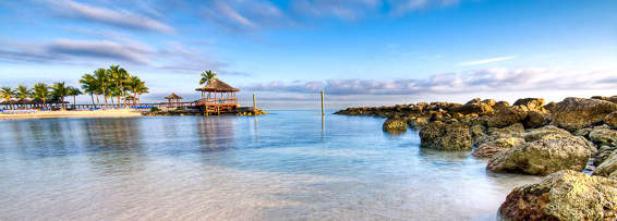 Image result for photos beach OR underwater "bahamas"
