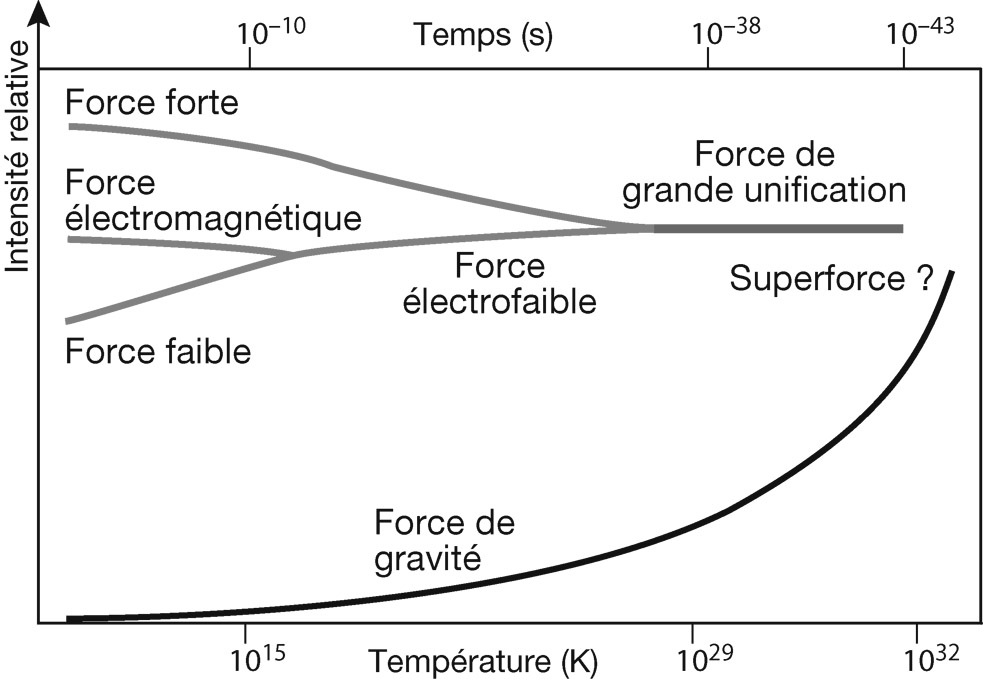 Unification des forces. Les quatre forces fondamentales sont distinctes, avec des intensités très différentes, à la basse température de l’univers actuel. Mais les physiciens pensent qu’elles étaient unies en une seule « superforce » quand l’univers était extrêmement chaud, une fraction de seconde après le big bang.