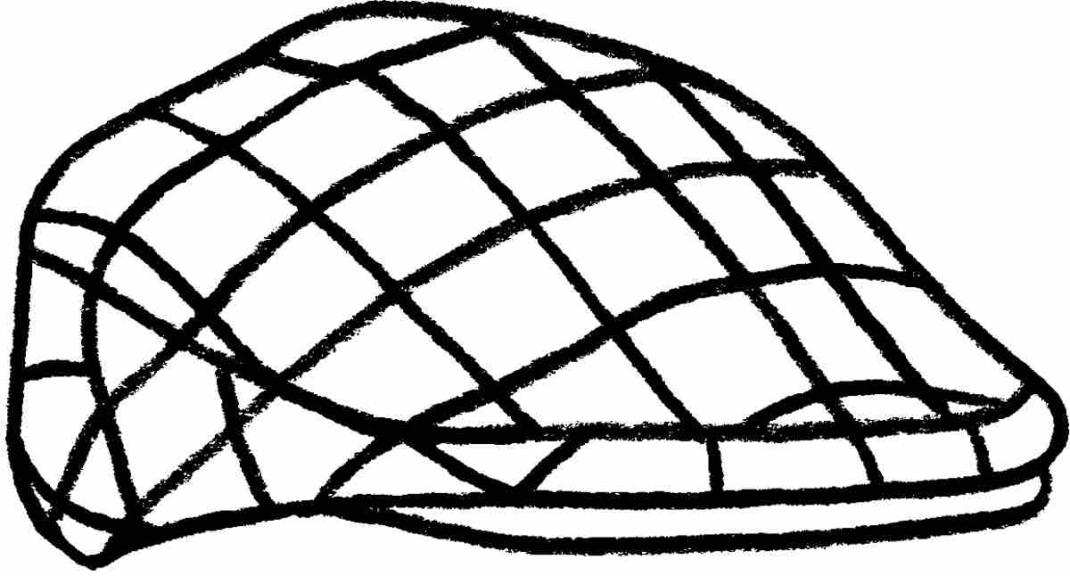 8: An illustration of a flat cap