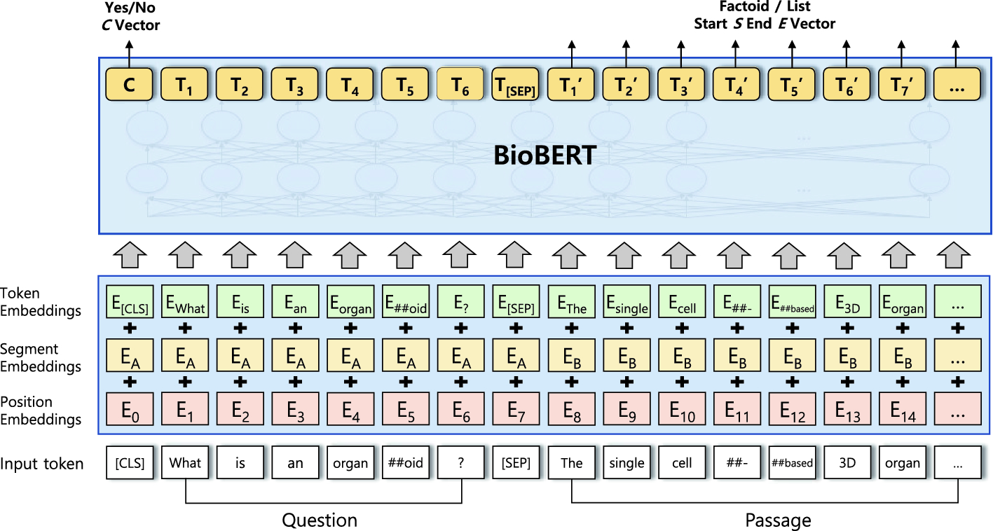 ../images/496776_1_En_64_Chapter/496776_1_En_64_Fig2_HTML.png