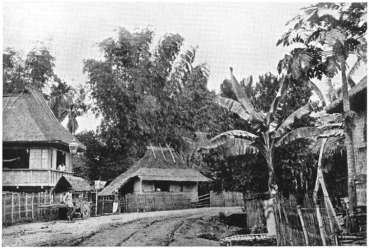 A Roadside Scene in Bulacan Province