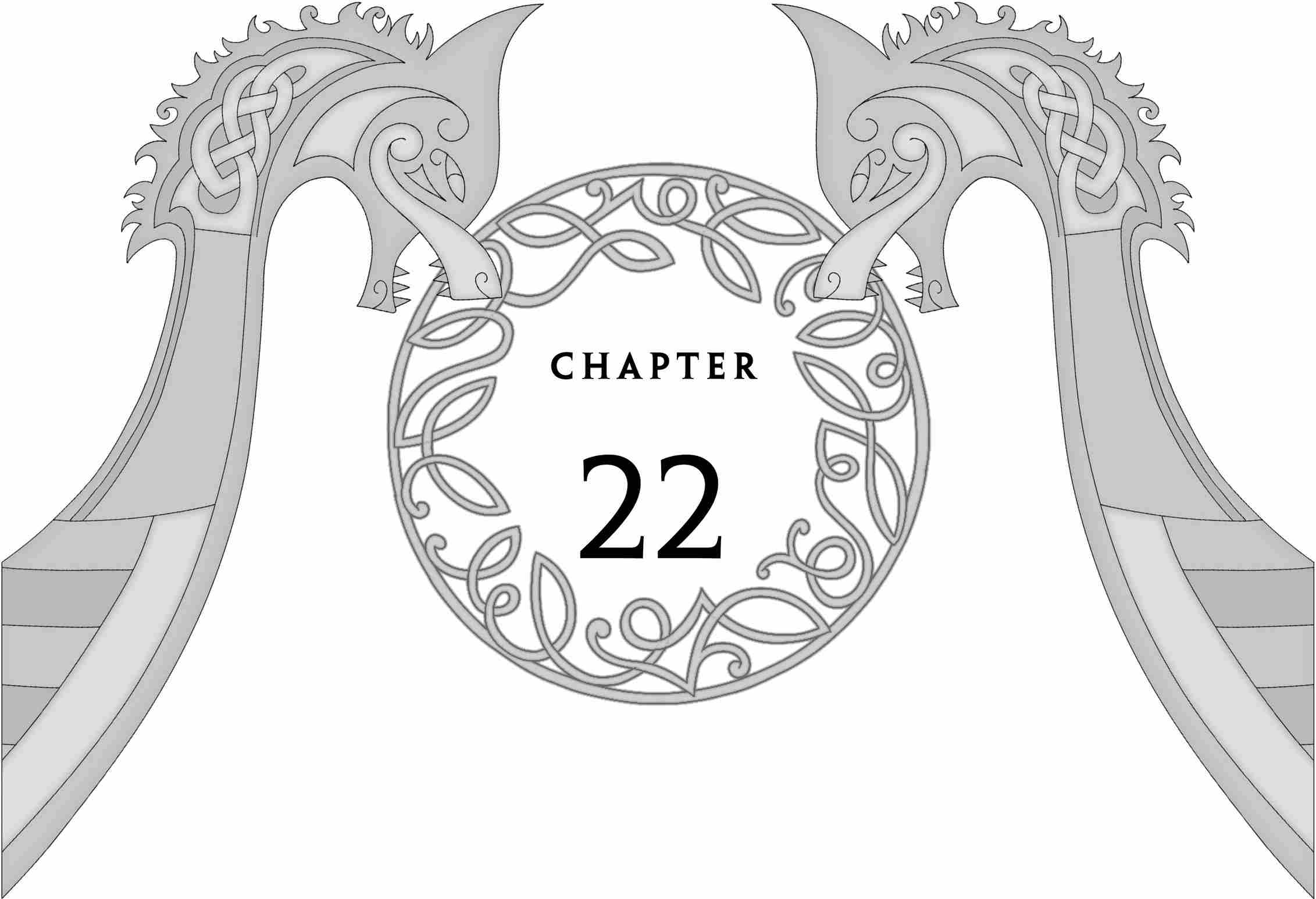 Chapter 22