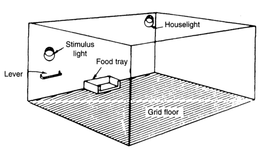 Figure 2.1 Essential features of a Skinner box for a rat, or other small rodent. The box is situated inside a sound-attenuating housing to exclude extraneous noises and other stimuli.