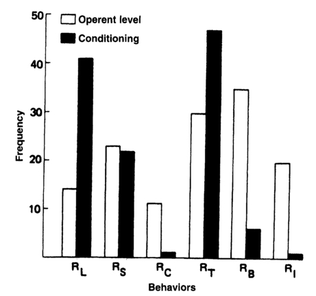 Figure 2.5 Relative frequencies of several behaviors occurring in a Skinner box before and after operant conditioning of lever pressing. Details are given in the text.