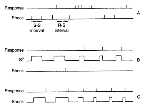 Figure 5.3 Event records or timelines illustrating the procedures of (A) free operant avoidance; (b) discriminated avoidance; and (c) escape.