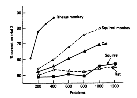 Figure 6.4 Performance of five species on a series of visual discrimination problems (from Mackintosh, 1974; after Warren, 1965).