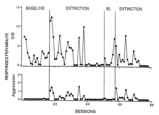 Figure 10.4 Rate of self-injurious behavior (upper panel) and aggressive responses (lower panel) for an individual under baseline and extinction intervention (Goh & Iwata, 1994).