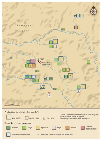 Cultures paysannes et cultures seigneuriales à Saint-Remi-de-Reims au IXe siècle