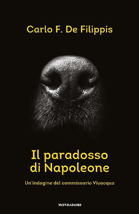 Copertina. «Il paradosso di Napoleone» di Carlo F. De Filippis